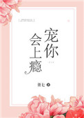 《宠你会上瘾》封面