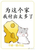 《为这个家我付出太多了》封面
