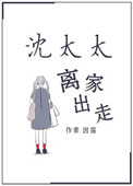 《沈太太离家出走》封面