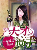 《天才高手》封面