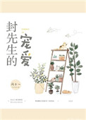 《封先生的宠爱》封面