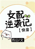 《女配逆袭记[快穿]》封面
