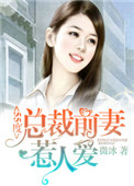 《55度：总裁前妻惹人爱》封面