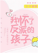 《我怀了反派的孩子》封面