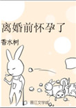 《离婚前怀孕了》封面