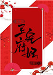 《王府宠妃（重生）》封面