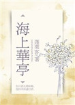 《海上华亭》封面