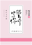 《我等你,很久了》封面