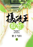 《摄政王很忙》封面