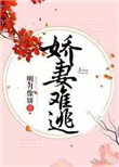 《娇妻难逃》封面