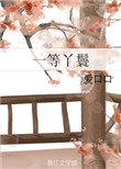 《一等丫鬟》封面