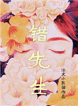 《错先生》封面
