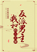 《我和反派男主的二三事》封面