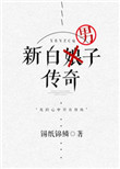 《新白男子传奇》封面