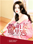 《总裁夜敲门：萌妻哪里逃》封面