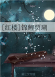 《[红楼]锦鲤贾瑚》封面