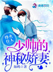 《烽火佳人：少帅的神秘娇妻》封面