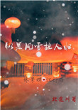 《似是风雪故人归》封面