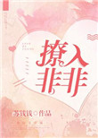 《撩入非非》封面