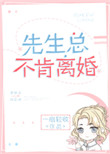 《先生总不肯离婚》封面