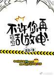 《不许你再乱放电！[娱乐圈]》封面