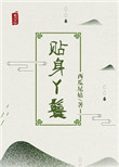 《贴身丫鬟》封面
