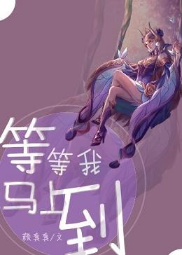 《等等我，马上到》封面