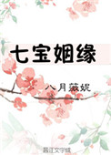 《七宝姻缘》封面