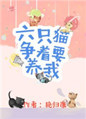《六只猫争着要养我》封面