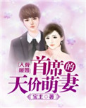 《入骨暖婚：首席的天价萌妻》封面