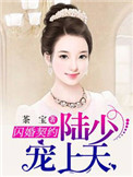 《闪婚契约：陆少宠妻上天》封面
