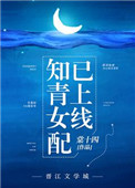 《知青女配已上线》封面