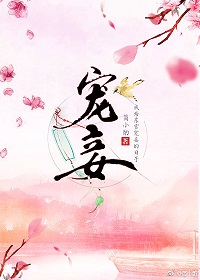 《宠妾（作者：简小酌）》封面