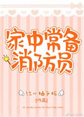 《家中常备消防员》封面