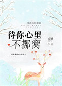 《待你心里不挪窝》封面