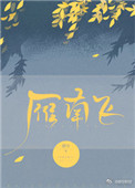 《雁南飞》封面