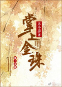 《掌上金珠》封面