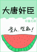 《大唐奸臣》封面