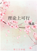 《理论上可行》封面