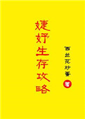《婕妤生存攻略》封面