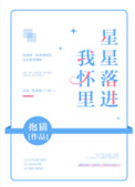 《星星落进我怀里》封面