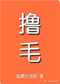 《我嫁的霸总是只喵》封面