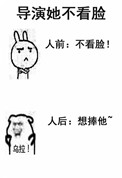 《导演她不看脸》封面