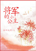 《将军的小公主》封面