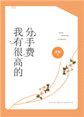 《我有很高的分手费》封面