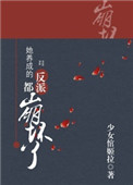 《她养成的反派都崩坏了(快穿)》封面