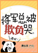 《将军总被欺负哭》封面