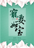 《宠妻如宝》封面