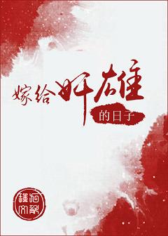 《嫁给奸雄的日子》封面
