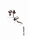 《野火》封面
